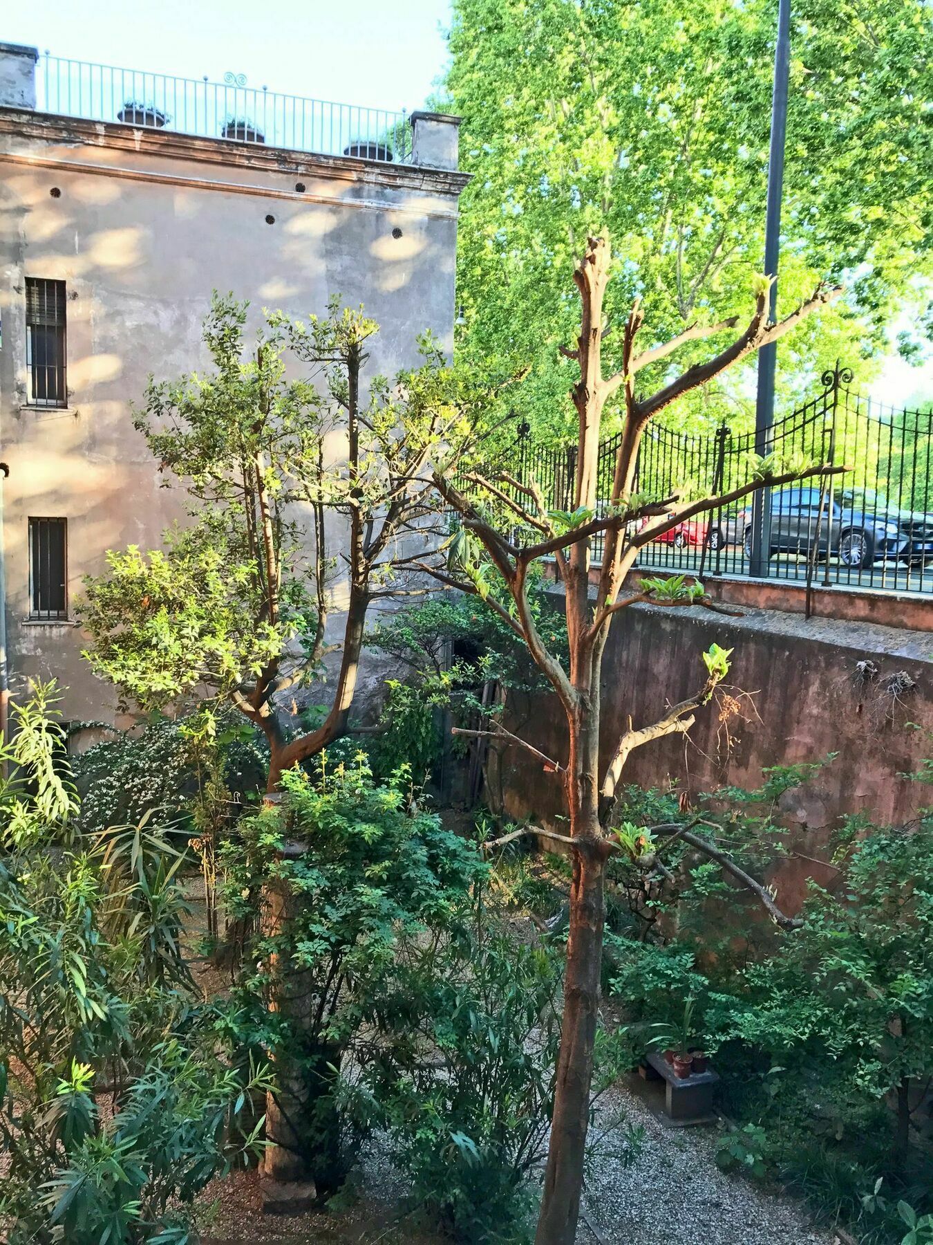 Secret Rhome Guest house